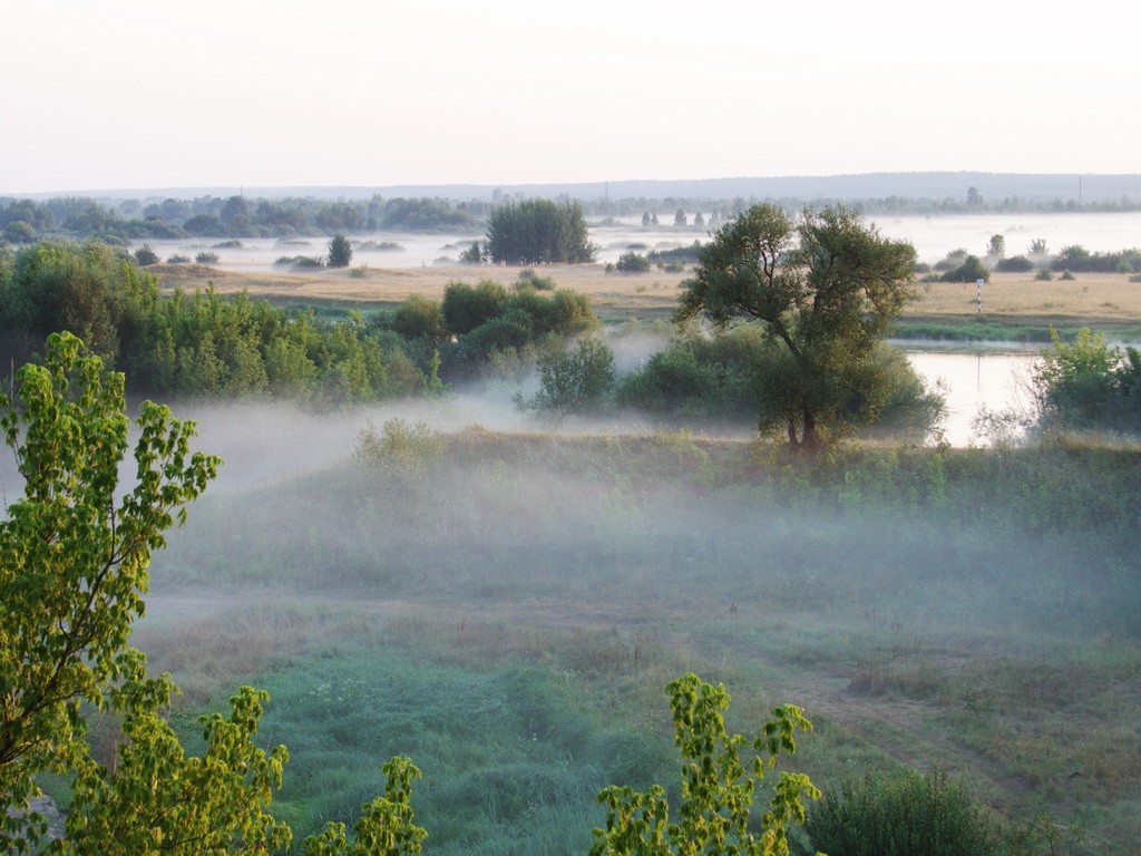 Cold Morgen eines Sommertages.