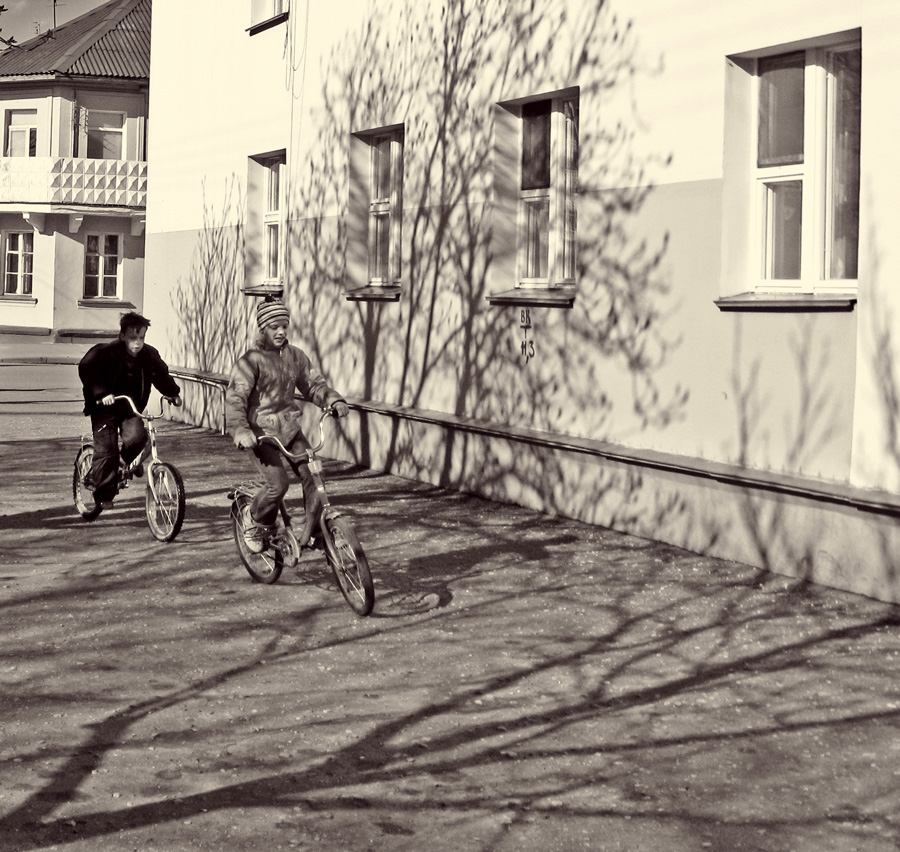 Wenn die Bäume waren hoch