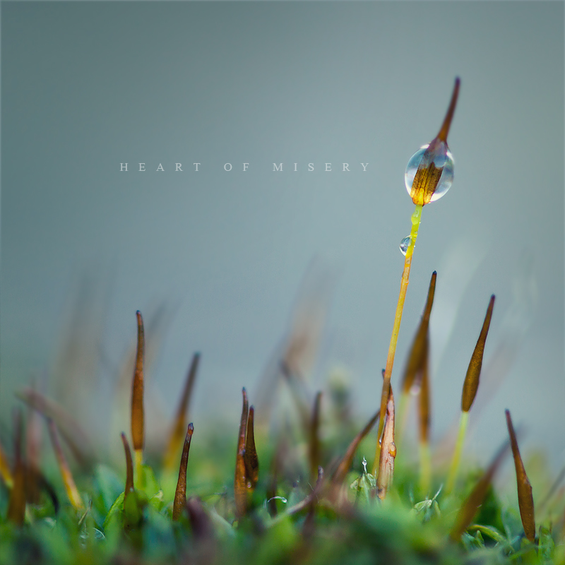 Heart of Misery