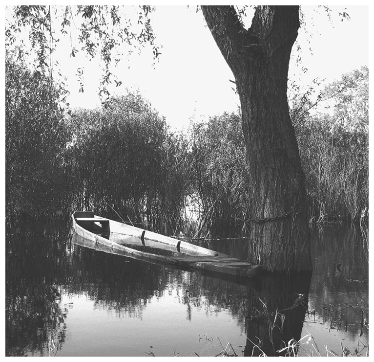 ... und kann nicht entweichen