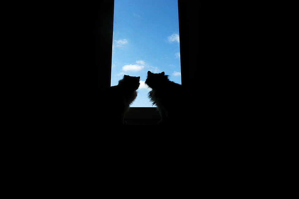 Wir sind für die Wärme warten