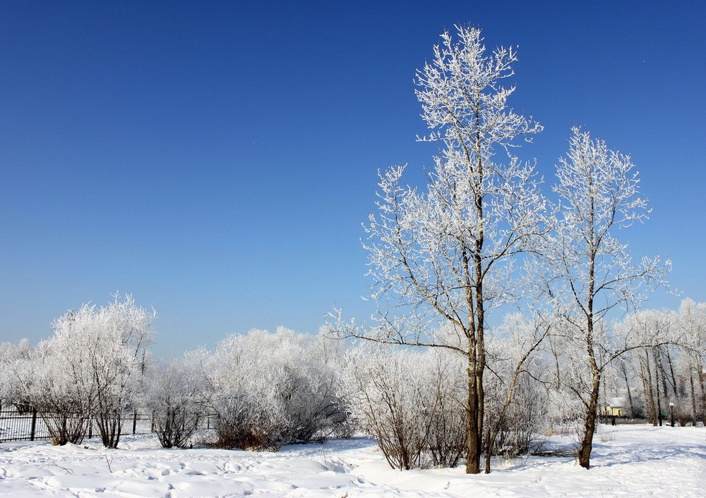 In einem verschneiten Park