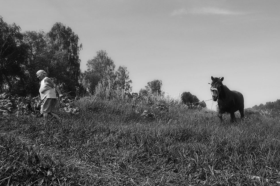 In gewisser Weise ...