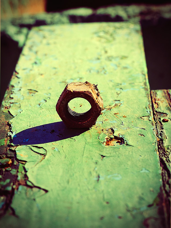 Entdeckung der Feder