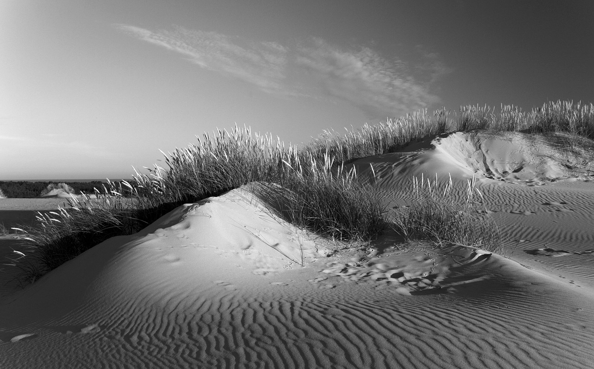 Die Welt von Dune II