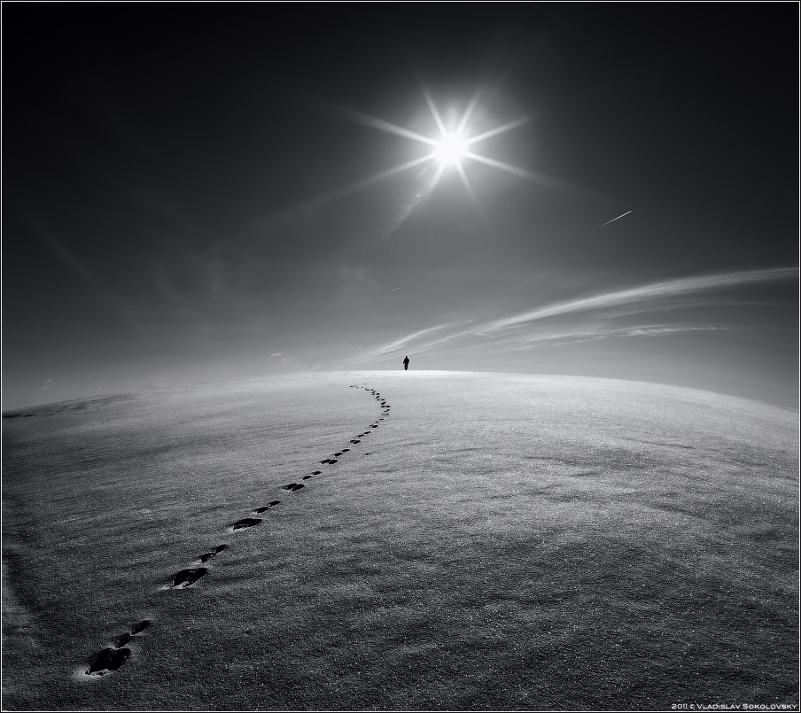 / Für "Kaninchen" / v.II