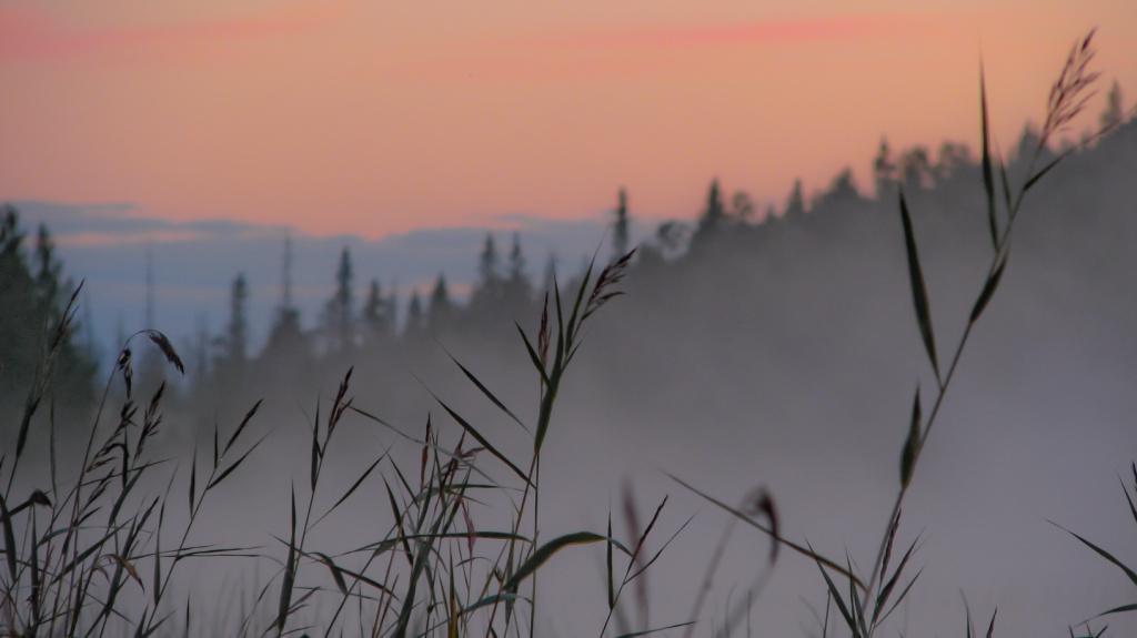 Es gibt einen Nebel 2
