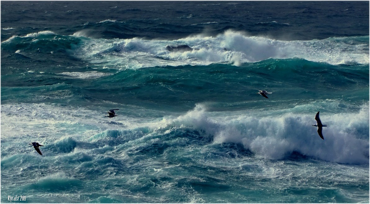 die Ladung der beiden Elemente