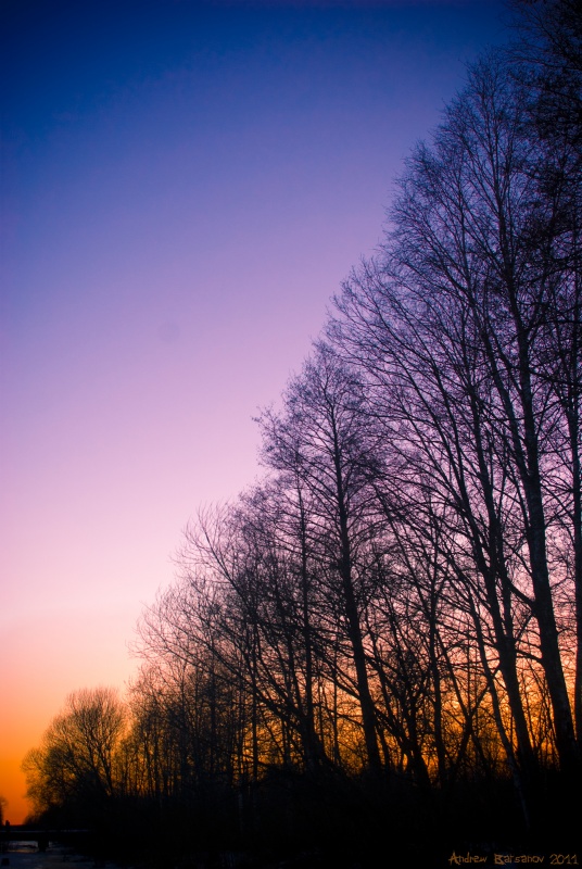 Im vergangenen Frühjahr Fröste ...