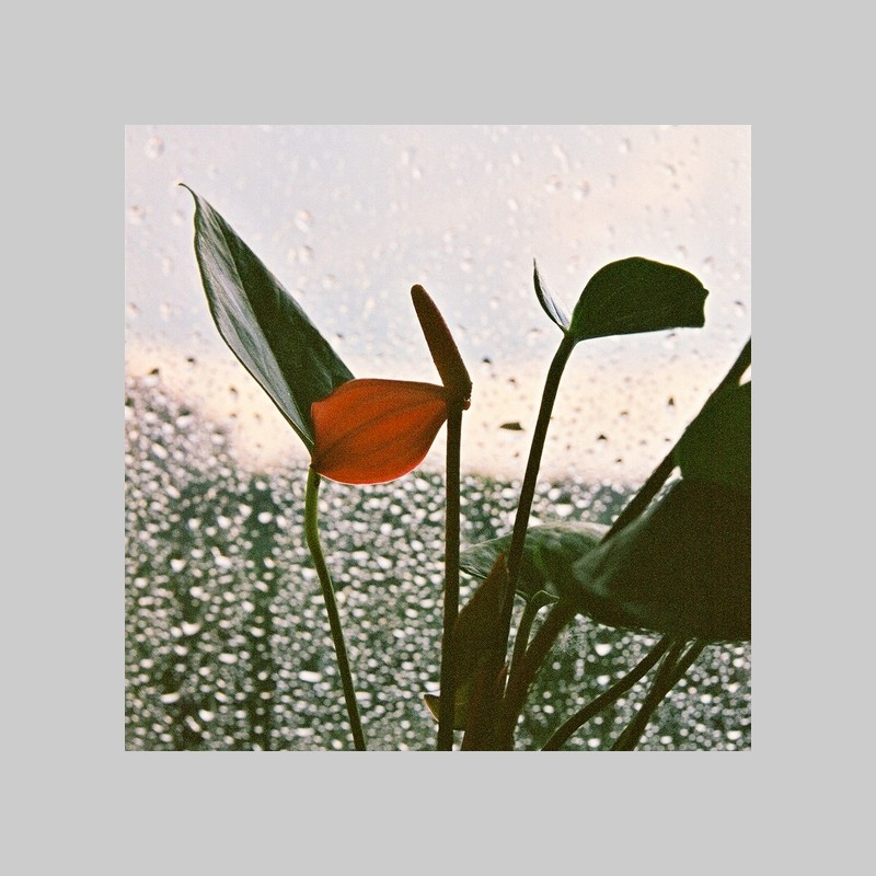 ... Sommer regen ...