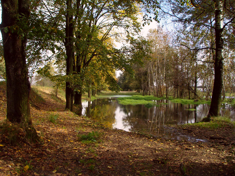 Herbst .... die Geschichte eines mesta2