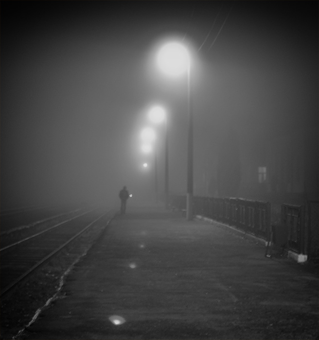 follow the white rabbit