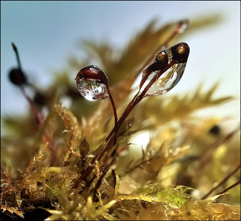 Verlassener Strand ...