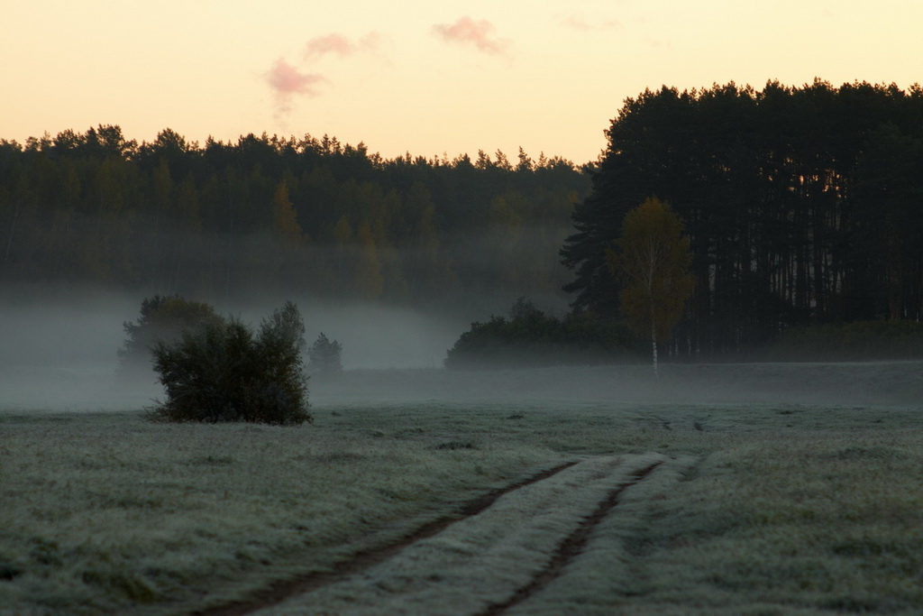 Herbstmorgen auf der Insel