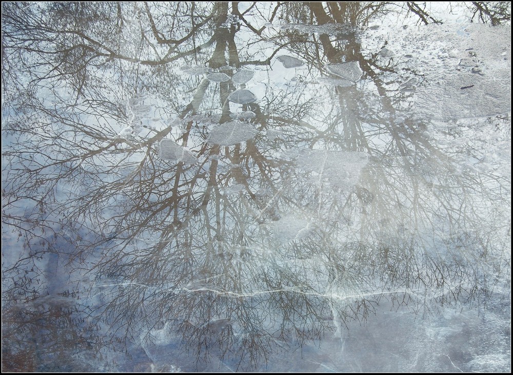 "Der Wind blies den Kopf ..."