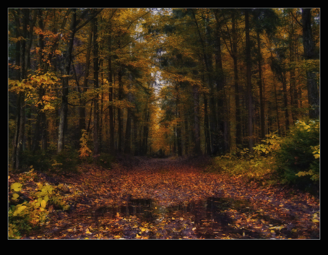 / Geschichten aus dem Wiener Wald /