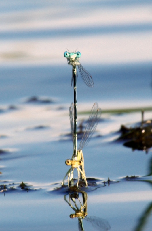 Kinder unter 16 Jahren dürfen