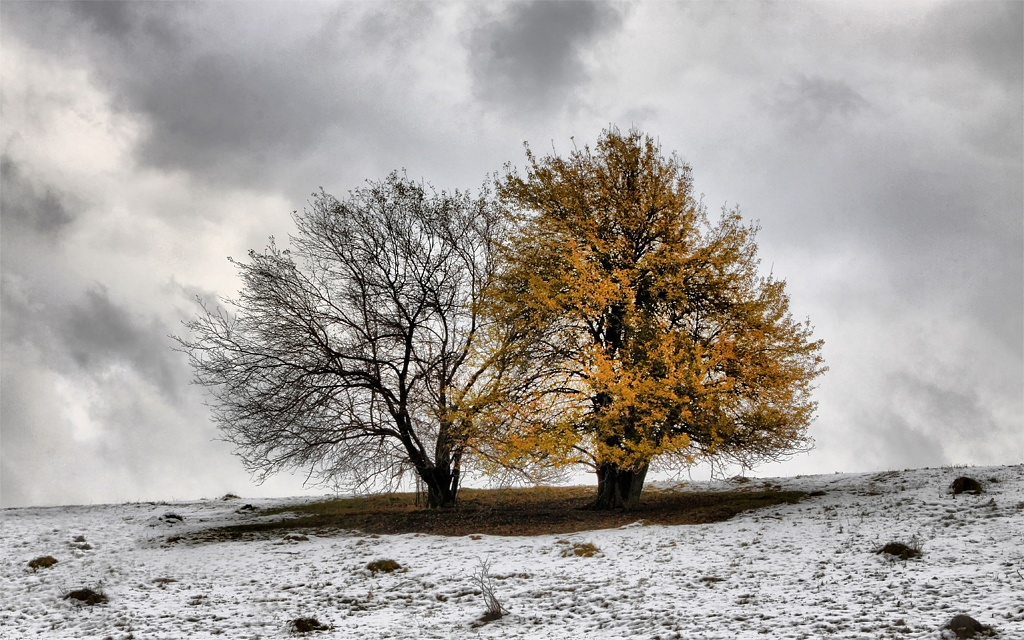 Herbst-Winter-Paar