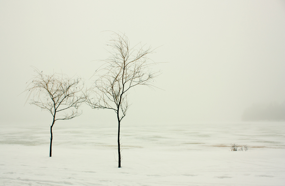 Manche Menschen in dieser Welt