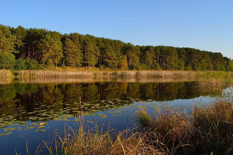 Belarussischen Herbst