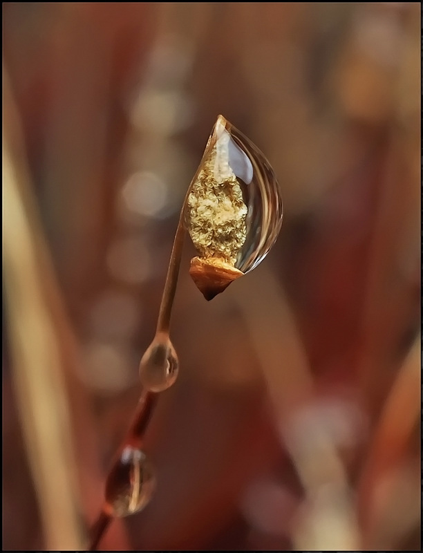 Nichts Überflüssiges ...