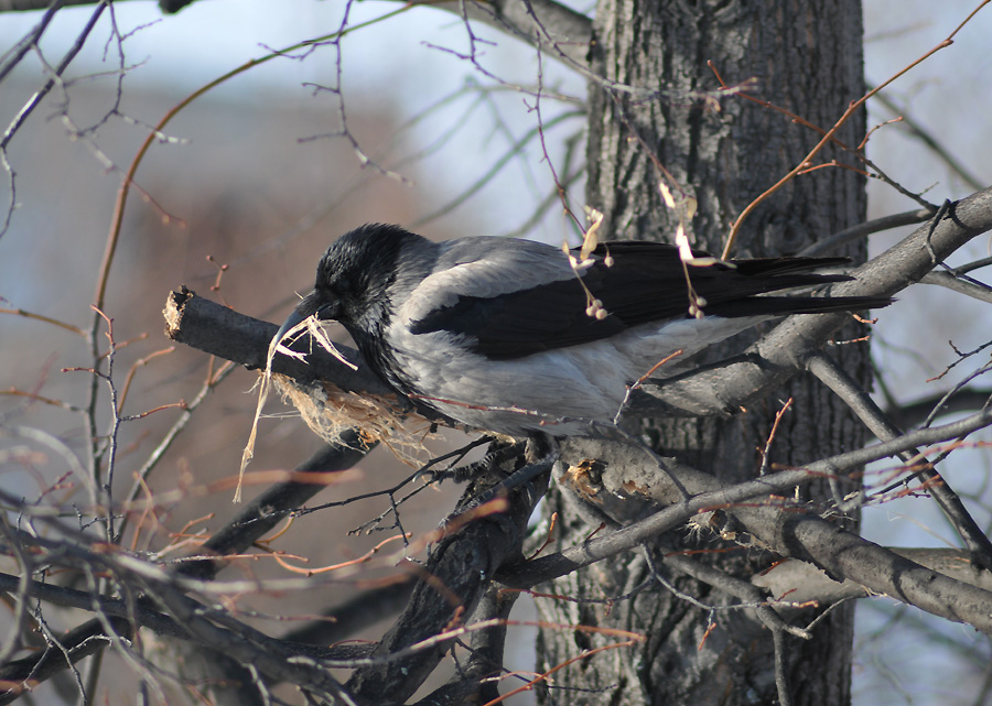 Spring-Zeit zur Lösung der Wohnungsfrage