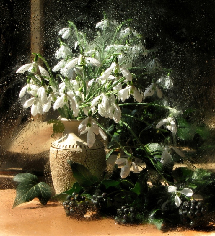 Sketch mit Schneeglöckchen (2)