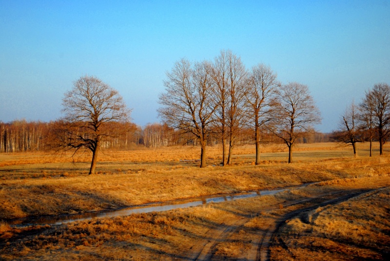 Der Weg zum Geburtshaus