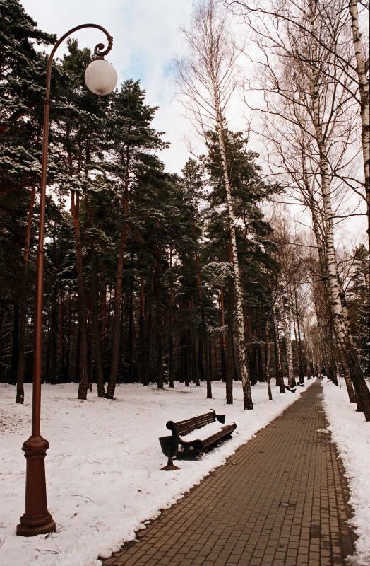 Ein Spaziergang im Park 2
