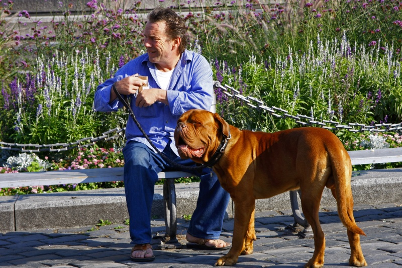 identisch mit der Person