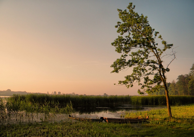 Am frühen Morgen Sitzung