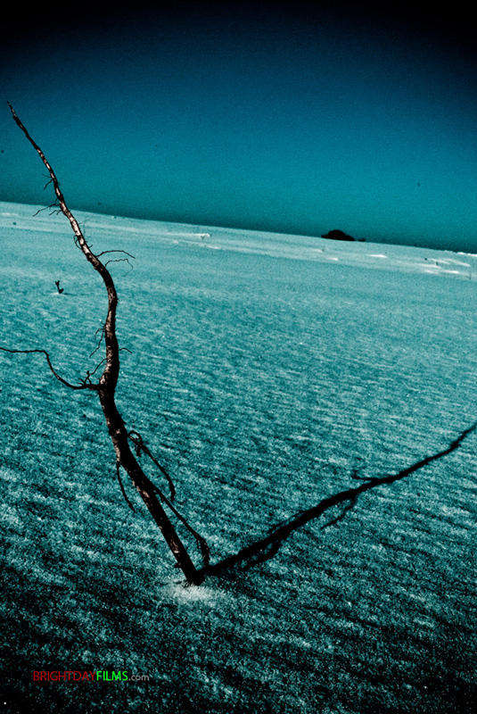 Die Wurzel des Gehens auf dem Mond