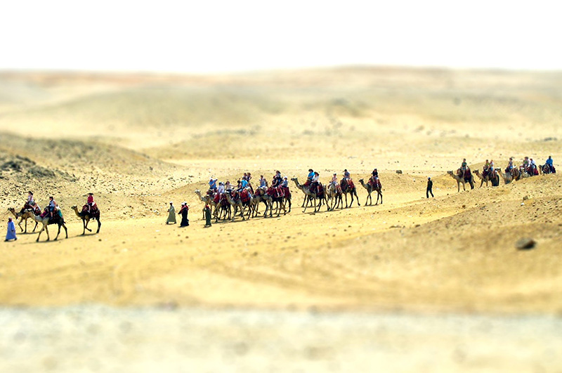 Free Expedited Shipping from Ebay.com