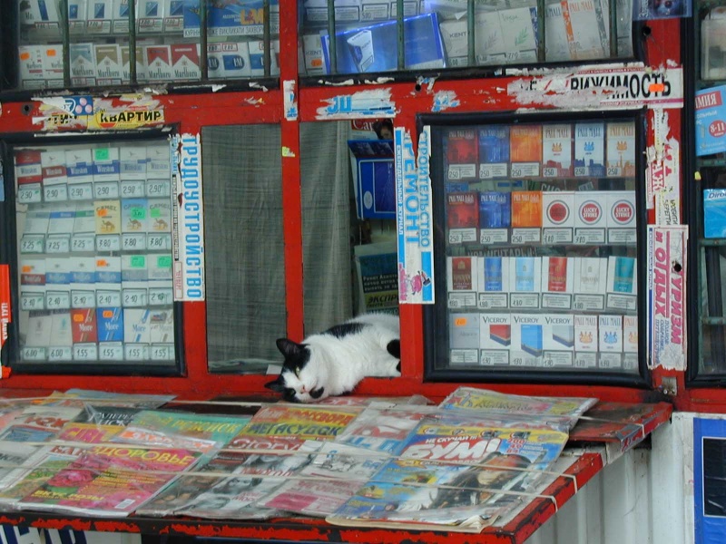 What would you like?