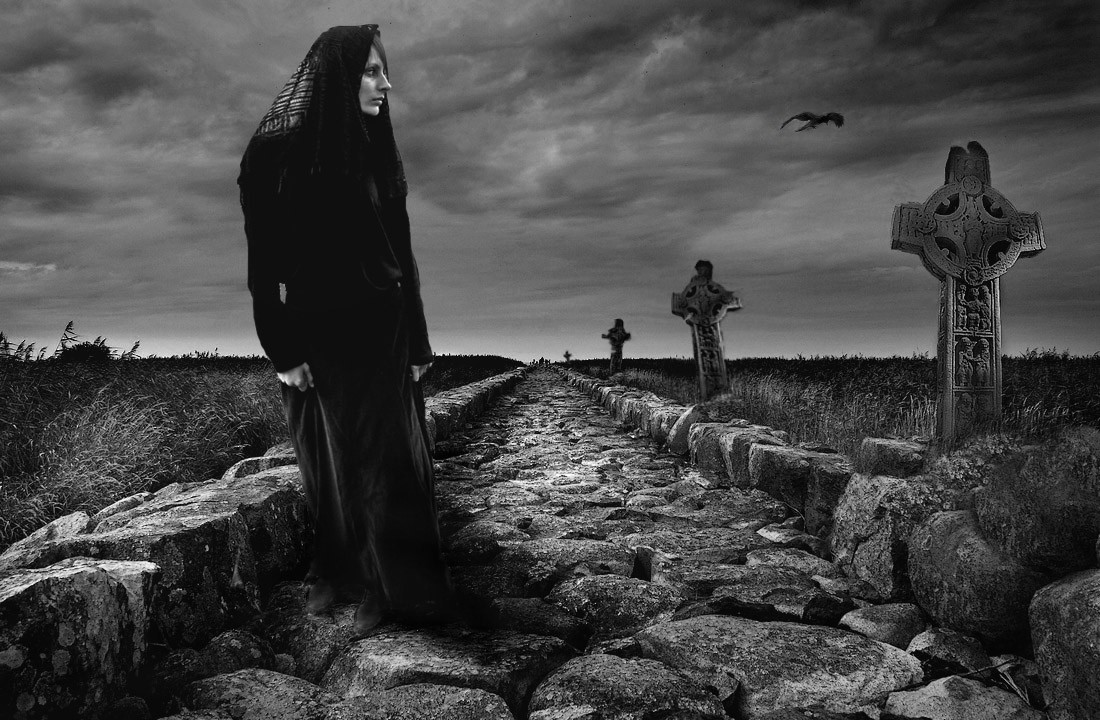 liebe schwarze Witwe ....