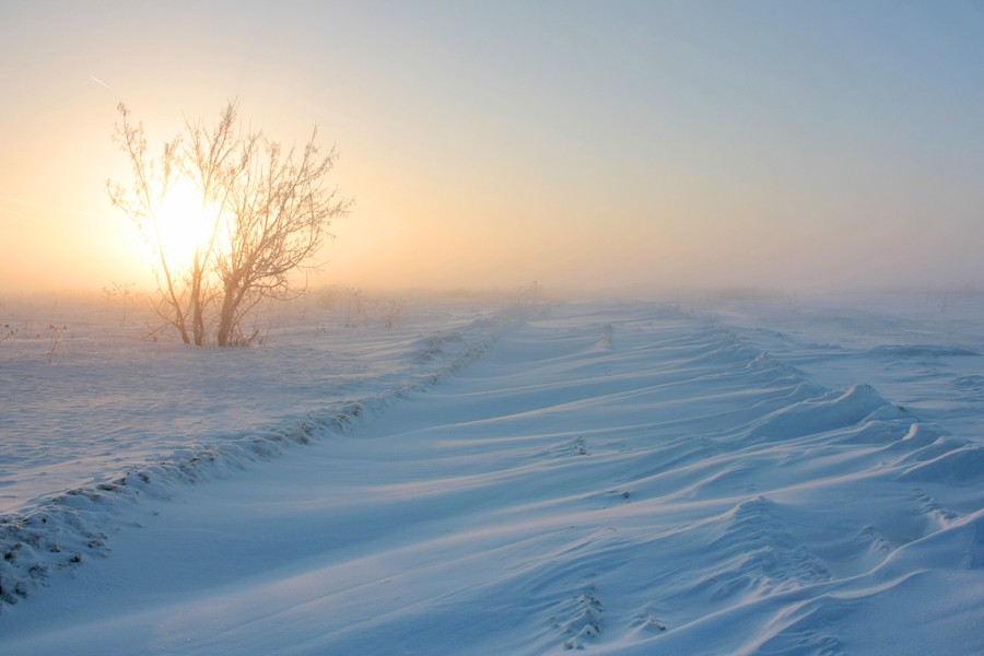 wo gewandert Frühling?