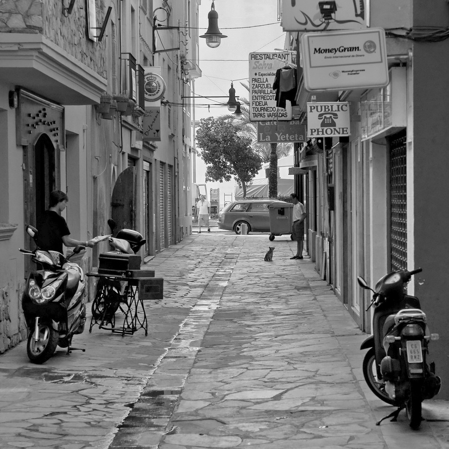 morning with three men and a dog...........