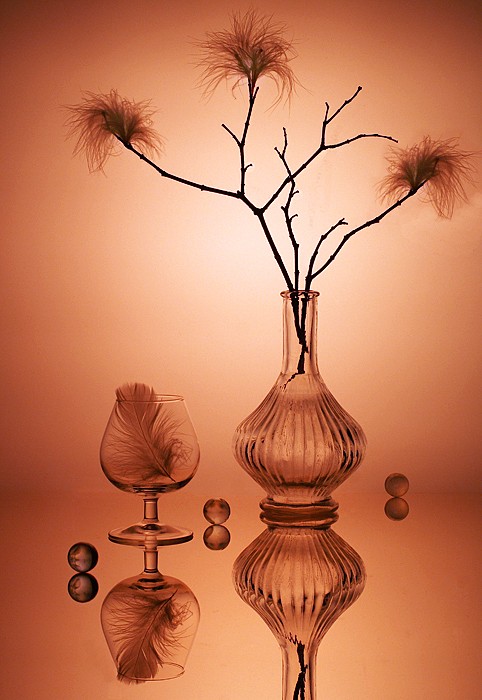 Auf der Suche nach den Pink Flamingo