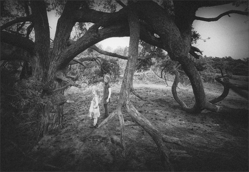 "Wir haben keine Angst wir" Wald Tier! "