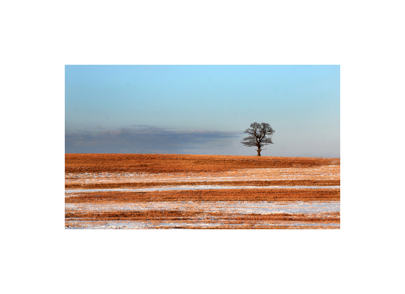 Landschaft in der Matte