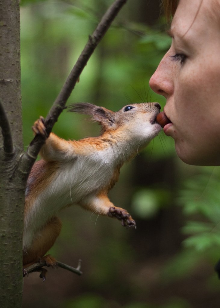 THIS GAME HAS NO NAME.It will never be the same