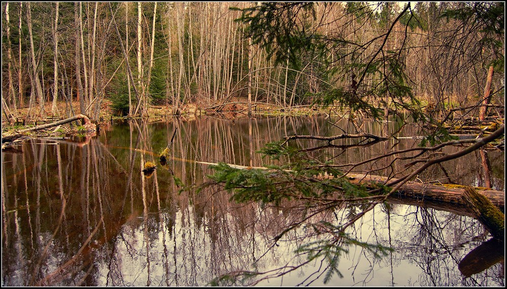 Rückstausicherungen ...