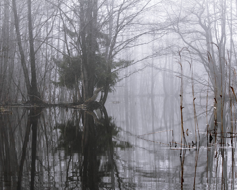 Mystery von Wasser und Licht