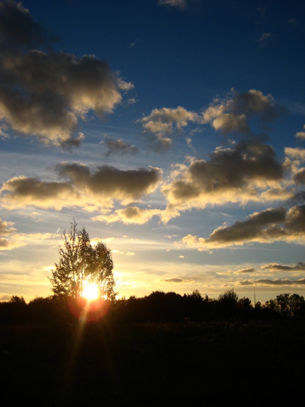 Flying Wolken ... Flying high ...