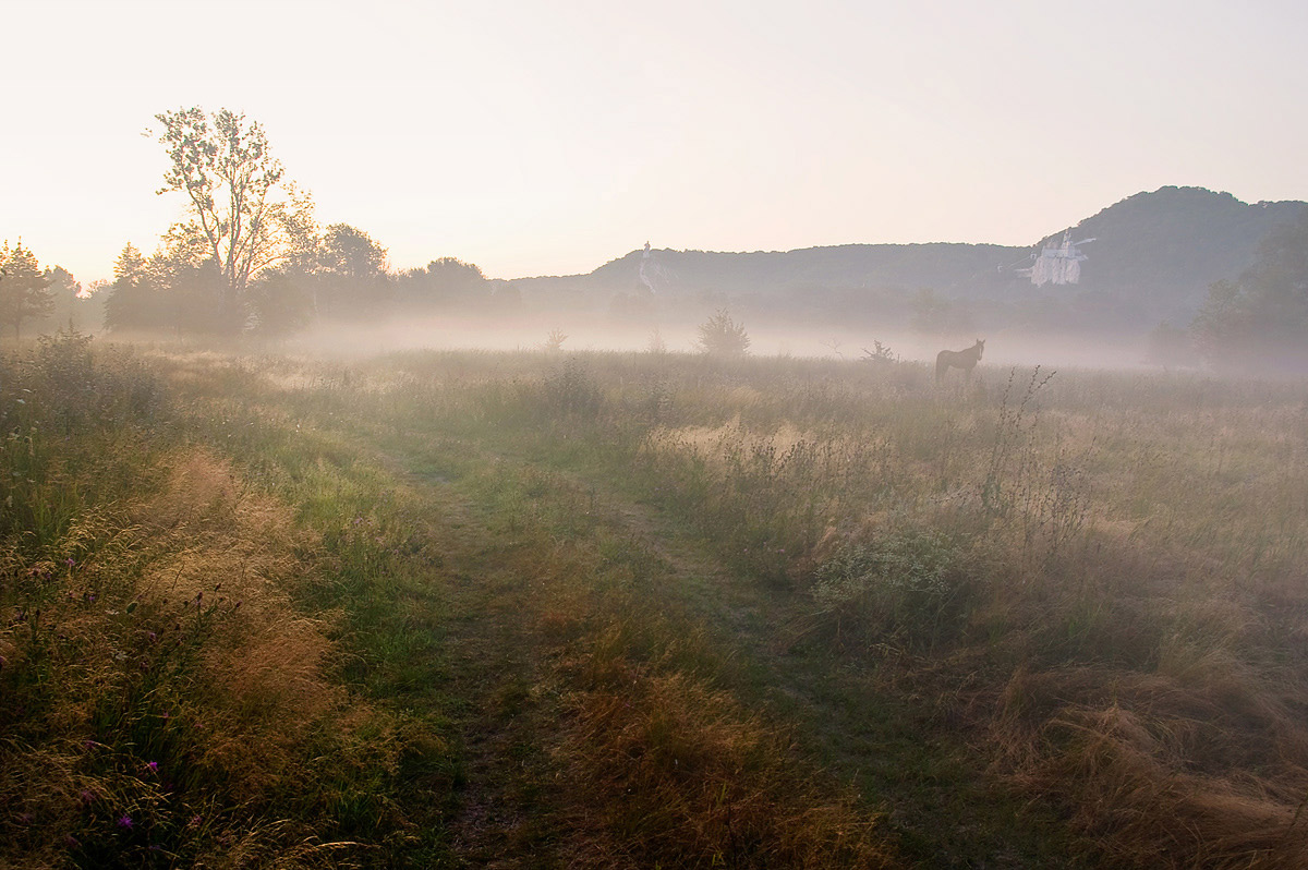 Rasstayav im Morgennebel ...