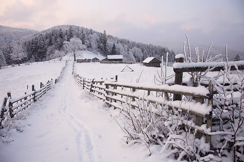 Winter verlässt ...