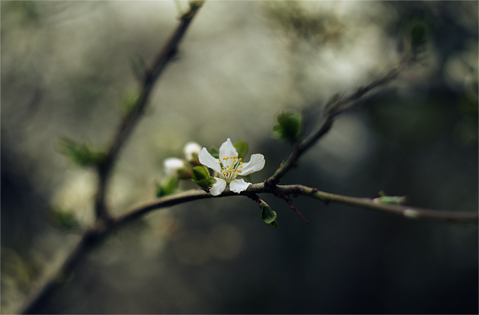 ein flüchtiger Moment ...