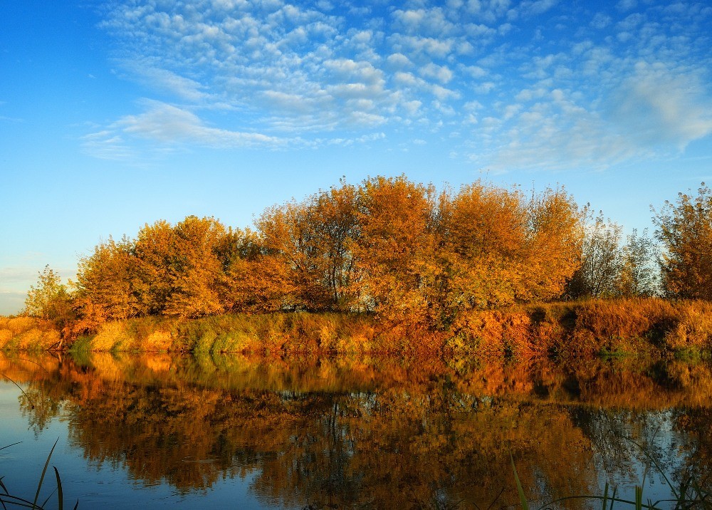 Reflexion des Herbstes