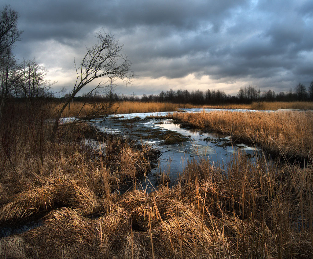 Frühling liegt in der frühen