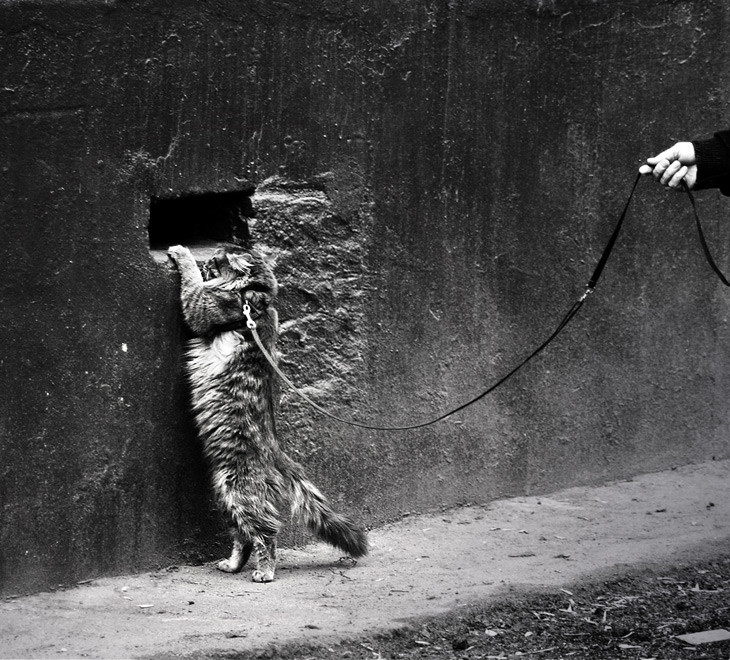 Und das Glück war so nah ...